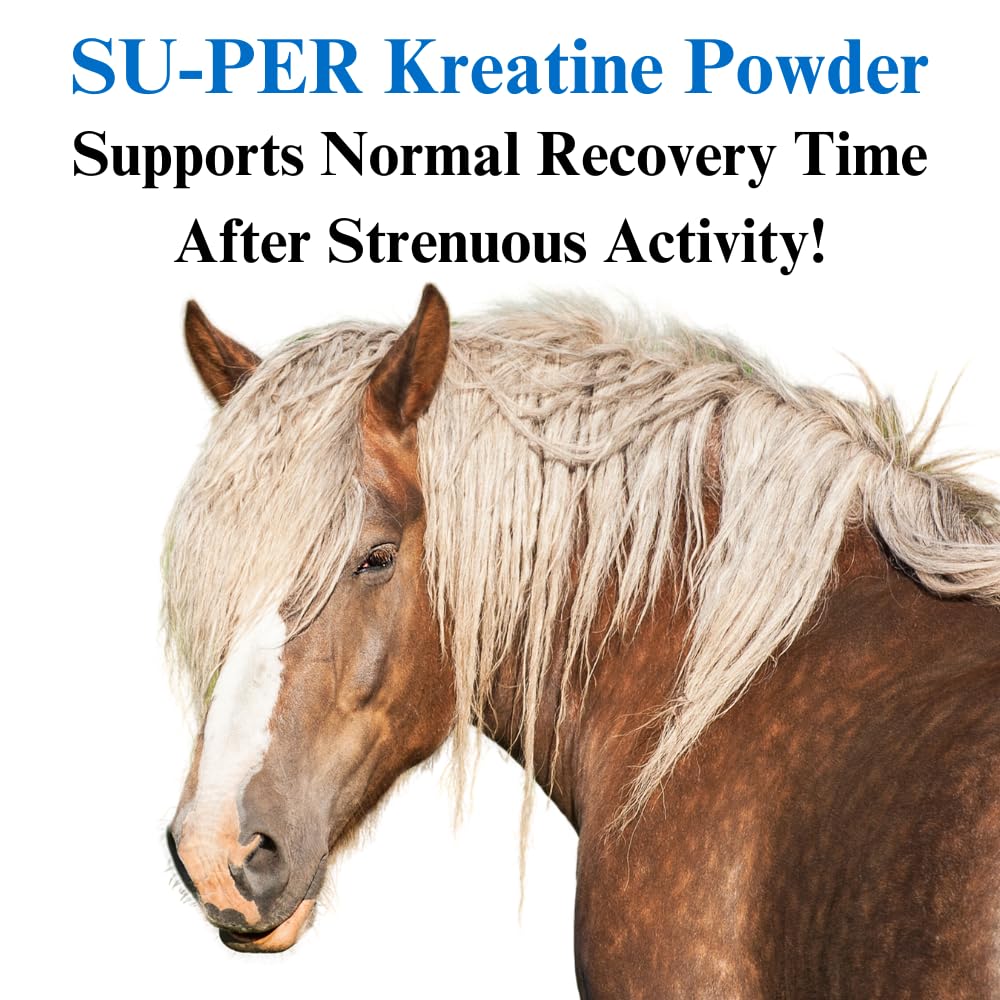 su-per-kreatine-energy-horse-supplement--3.jpg