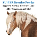 su-per-kreatine-energy-horse-supplement--3.jpg