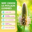 psyllium-gummies-1500mg-psyllium-husk-su-5.jpg