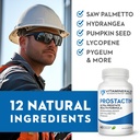 vitaminerals-prostactin-prostate-support-3.jpg