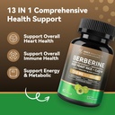 berberine-1300mg-with-green-tea-extract--2.jpg