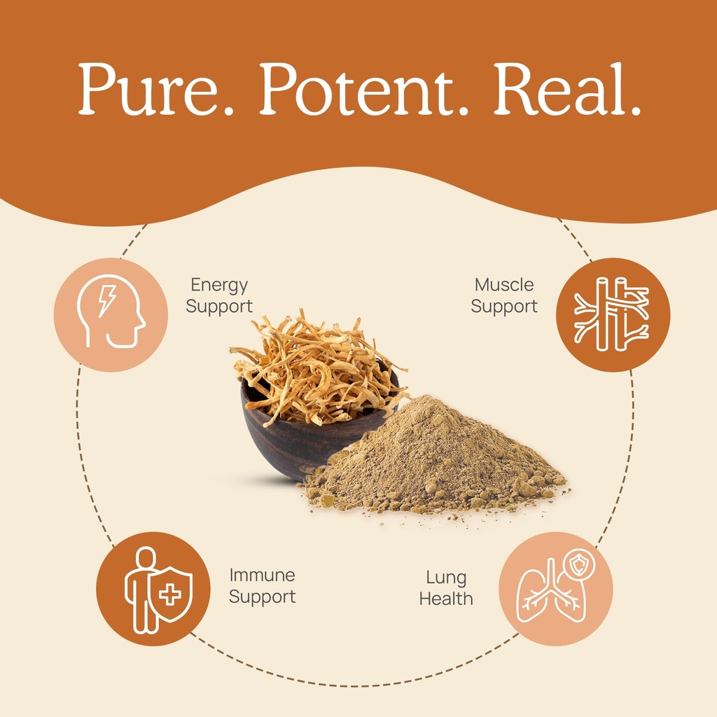 real-mushrooms-brain-vitality-immune-sup-4.jpg