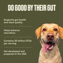 nom-nom-dog-gi-targeted-probiotic-suppor-5.jpg