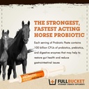 fullbucket-equine-probiotic-paste-with-s-2.jpg