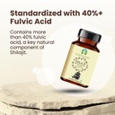ayurvedashree-shilajit-extract-capsules--5.jpg