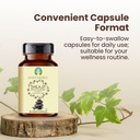 ayurvedashree-shilajit-extract-capsules--4.jpg