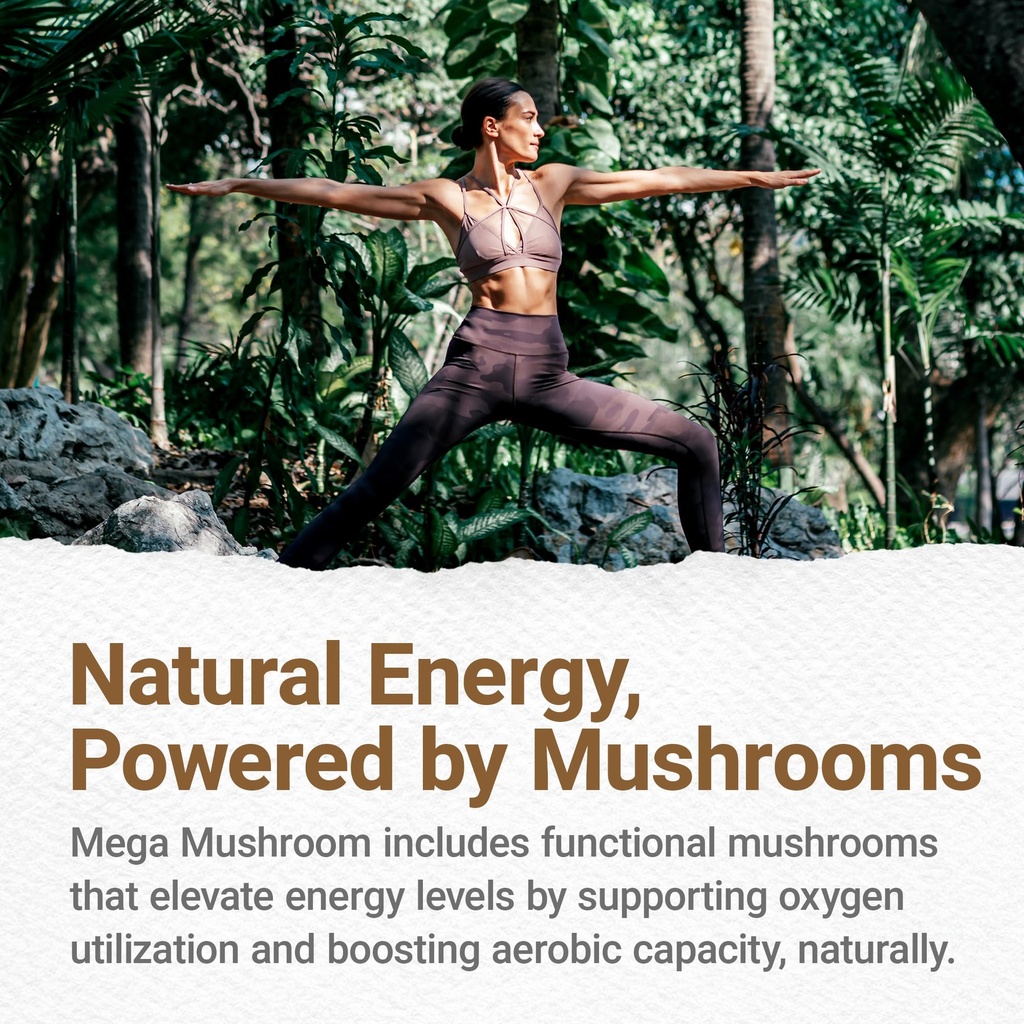 procera-mega-mushroom-improved-memory-na-5.jpg