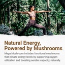 procera-mega-mushroom-improved-memory-na-5.jpg