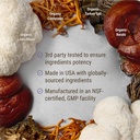 live-conscious-lions-mane-mushroom-suppl-6.jpg