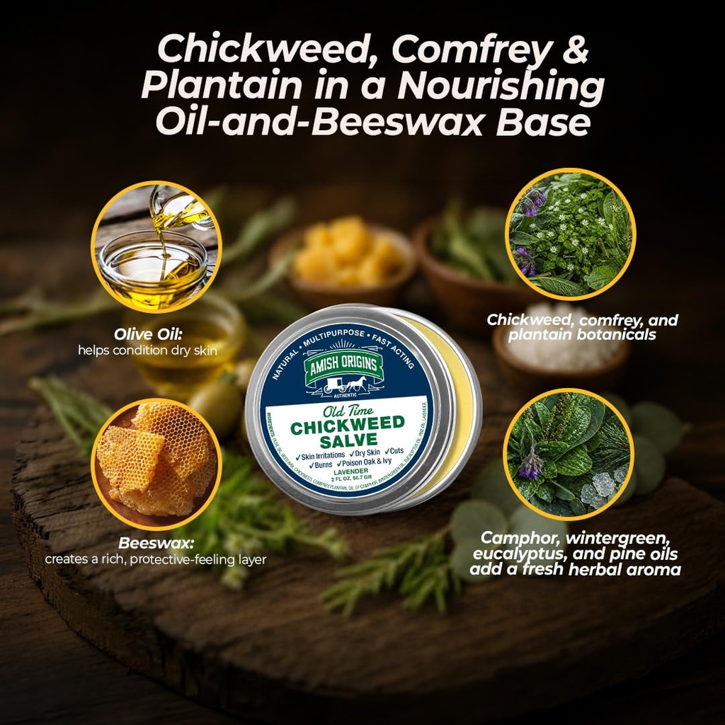 amish-origins-old-time-chickweed-salve-2-3.jpg