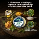 amish-origins-old-time-chickweed-salve-2-3.jpg