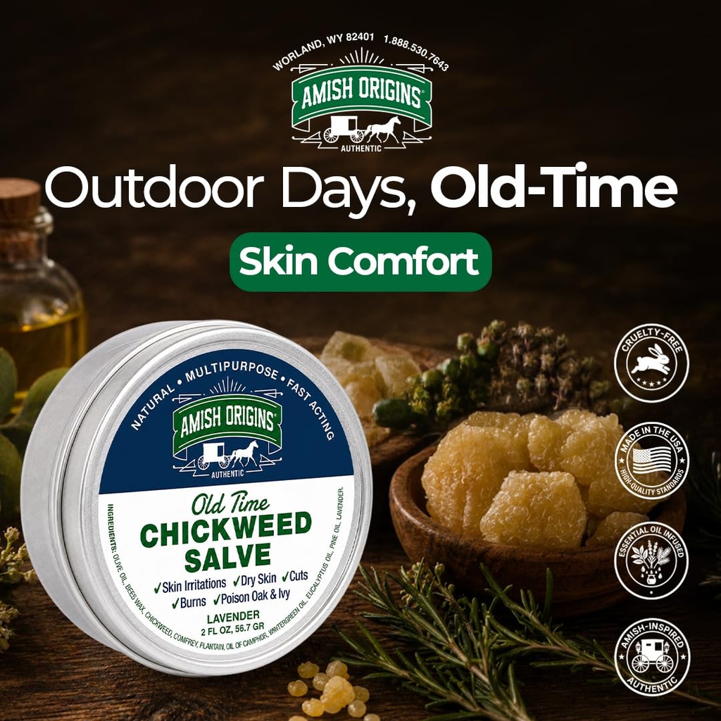 amish-origins-old-time-chickweed-salve-2-6.jpg