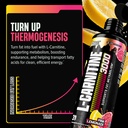 nutrex-research-l-carnitine-3000-clinica-4.jpg