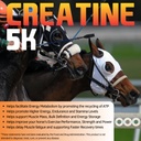 creatine-5k-powder-for-horses-2-lb-36-se-4.jpg