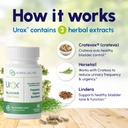 urox-bladder-control-safe-and-effective--3.jpg