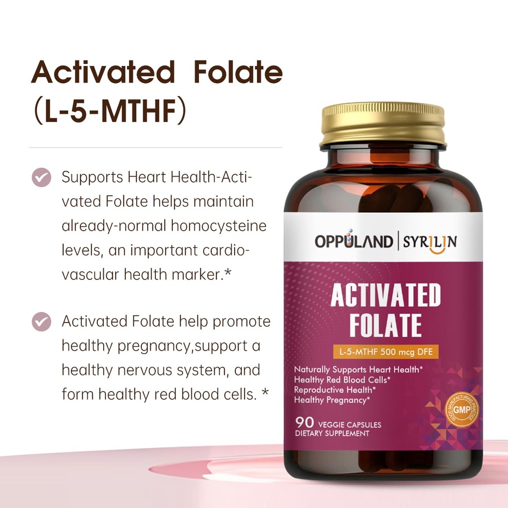 activated-folate-l-5-mthf-dfe-supplement-3.jpg