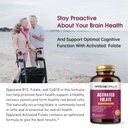 activated-folate-l-5-mthf-dfe-supplement-4.jpg