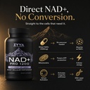 zyva-nad-pro-1200-high-dose-direct-nad-p-2.jpg