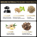 grevol-himalayan-shilajit-gummies-with-a-2.jpg