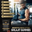 grevol-himalayan-shilajit-gummies-with-a-6.jpg