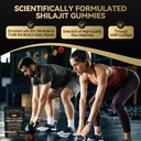grevol-himalayan-shilajit-gummies-with-a-3.jpg