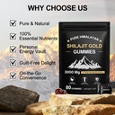 shilajit-gummies-shilajit-gold-gummies-f-5.jpg