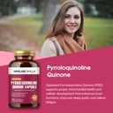 pyrroloquinoline-quinone-pqq-supplement--4.jpg