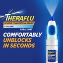 theraflu-severe-congestion-relief-nasal--2.jpg