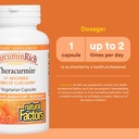 natural-factors-curcuminrich-theracurmin-3.jpg