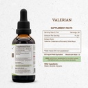 secrets-of-the-tribe-valerian-alcohol-ti-4.jpg
