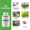 paradise-herbs-banaba-leaf-12-1-concentr-2.jpg
