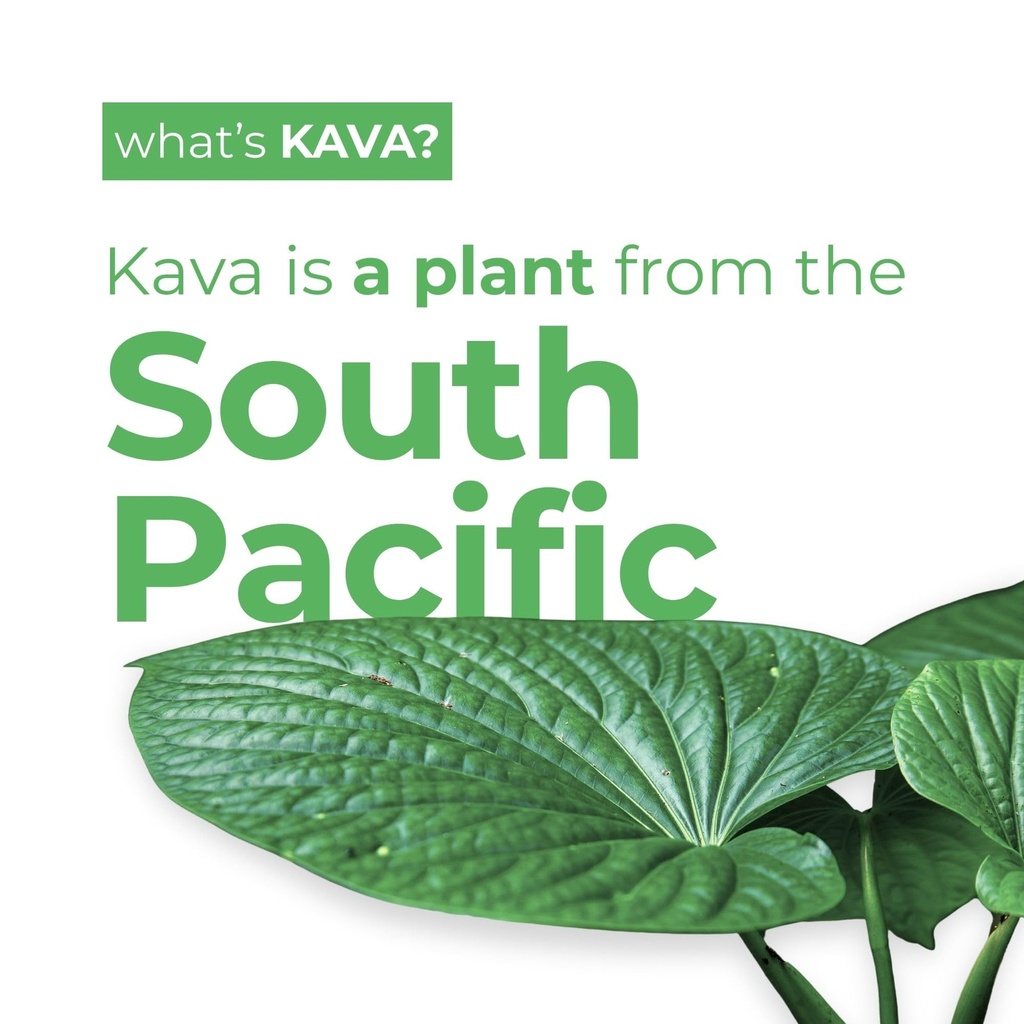 leilo-kava-powered-lime-margarita-mockta-4.jpg