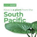 leilo-kava-powered-lime-margarita-mockta-4.jpg