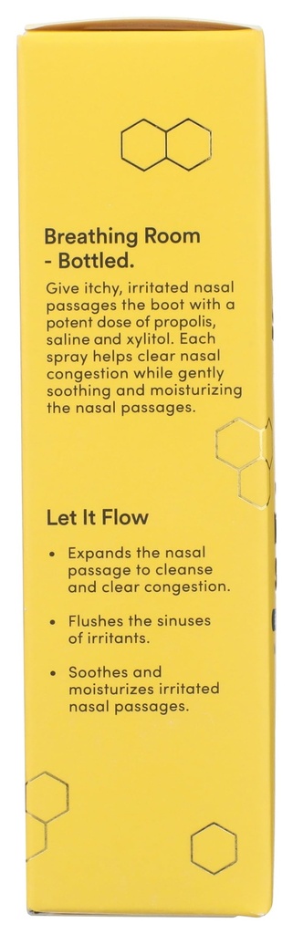 beekeepers-naturals-propolis-nasal-spray-4.jpg