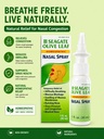seagate-products-homeopathic-olive-leaf--3.jpg
