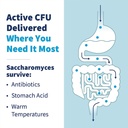 sfi-health-klaire-labs-saccharomyces-bou-4.jpg