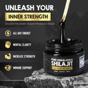 himalayan-shilajit-resin-over-85-fulvic--3.jpg
