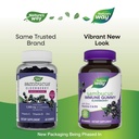 vega-organic-all-in-one-vegan-protein-po-6.jpg