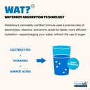 waterboy-weekend-recovery-blue-raspberry-6.jpg