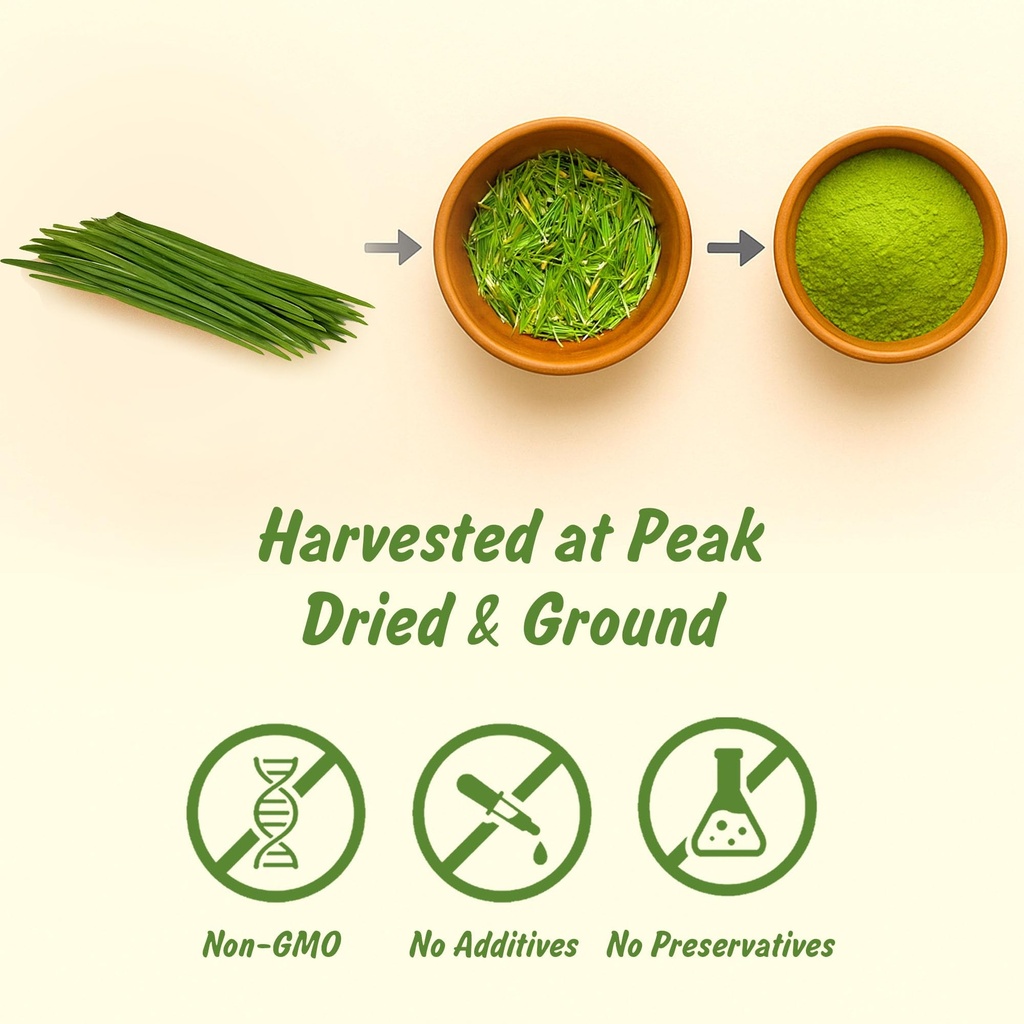 spice-profile-organic-wheatgrass-powder--3.jpg