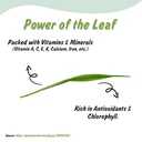 spice-profile-organic-wheatgrass-powder--2.jpg