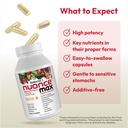 andrew-lessman-essential-1-nuonce-max-mu-5.jpg