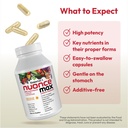 andrew-lessman-essential-1-nuonce-max-mu-5.jpg