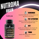 brain-daily-nootropic-cognitive-support--2.jpg