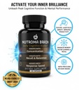 brain-daily-nootropic-cognitive-support--5.jpg