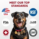 probiotics-for-dogs-digestive-health-pro-6.jpg