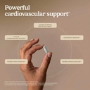 terry-naturally-clinical-opc-heart-heart-4.jpg