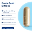 vitamin-world-grape-seed-extract-95-poly-4.jpg
