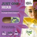 wild-organic-grape-seed-extract-capsules-5.jpg