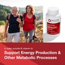 protocol-for-life-balance-niacin-500mg-i-3.jpg